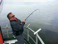 Whale Watching Depoe Bay FISH ON